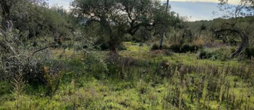 Terreno agricolo in Vendita a Trabia (Palermo) - Rif: 28282 - foto 1